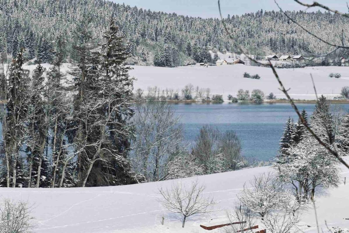 La Parenthese Vue Lac Les Grangettes Bagian luar foto